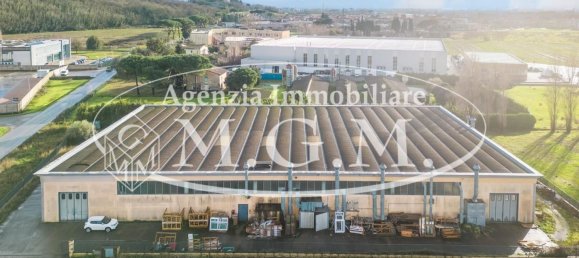 Entrepôt à Calcinaia, Italy 3000m² No. 81327 8