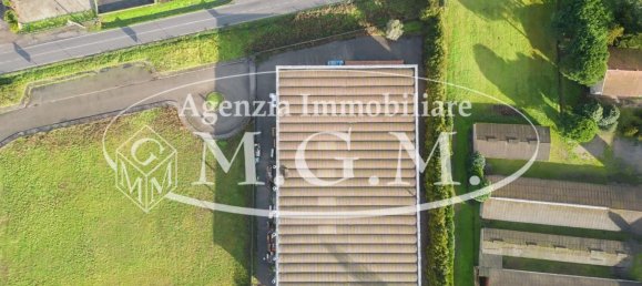 Entrepôt à Calcinaia, Italy 3000m² No. 81327 5