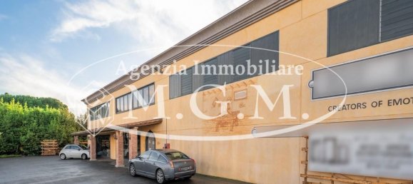 Entrepôt à Calcinaia, Italy 3000m² No. 81327 11