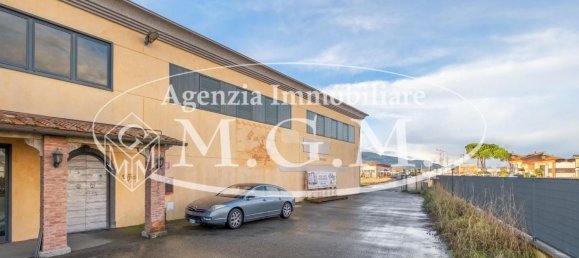 Entrepôt à Calcinaia, Italy 3000m² No. 81327 13