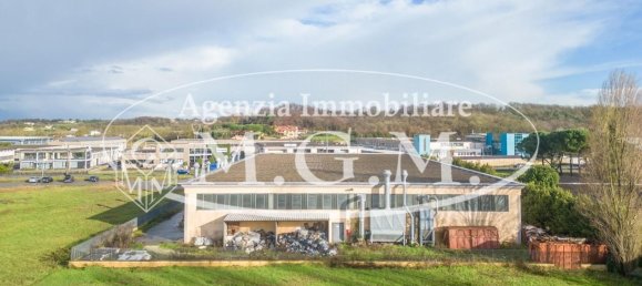 Entrepôt à Calcinaia, Italy 3000m² No. 81327 4