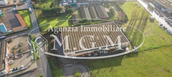 Entrepôt à Calcinaia, Italy 3000m² No. 81327 6