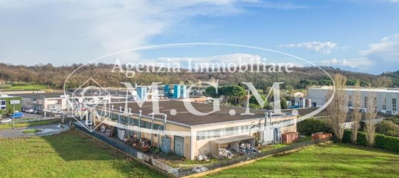 Entrepôt à Calcinaia, Italy 3000m² No. 81327 3