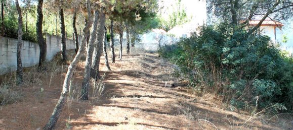 Hôtel à Euboea, Greece 875m² No. 7680 3