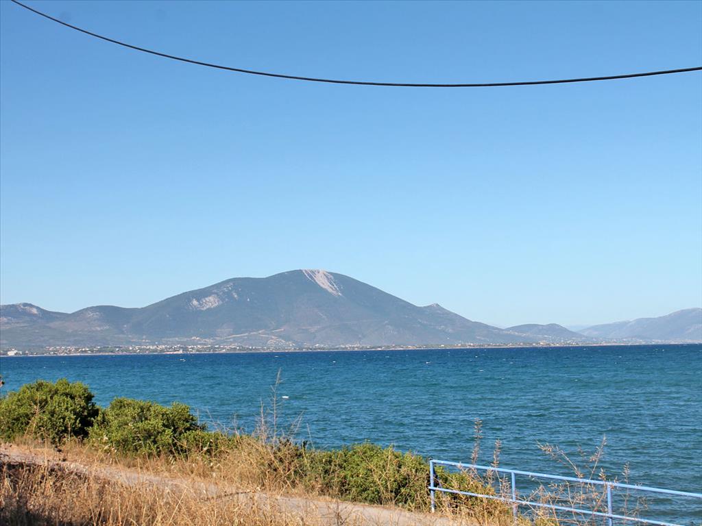 Hôtel à Euboea, Greece 875m² No. 7680