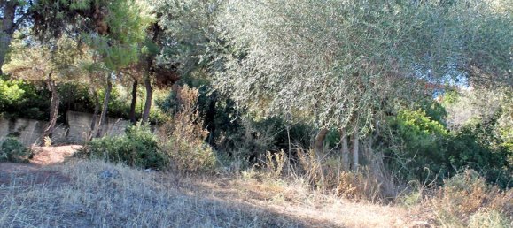 Hôtel à Euboea, Greece 875m² No. 7680 4