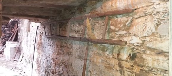 3 bedrooms House in Sarzedas, Portugal No. 31393 11