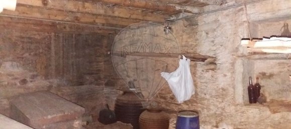 3 bedrooms House in Sarzedas, Portugal No. 31393 9