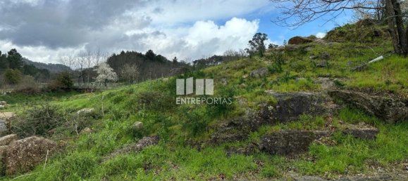 Grundstück in Marco de Canaveses, Portugal 900m², Nr. 57832 13