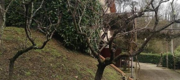 3 rooms House in San Giovanni Valdarno, Italy No. 29756 3