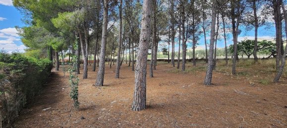 Casa T5 em Sax, Spain N.º 25806 13