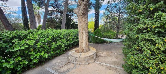 Casa T5 em Sax, Spain N.º 25806 15