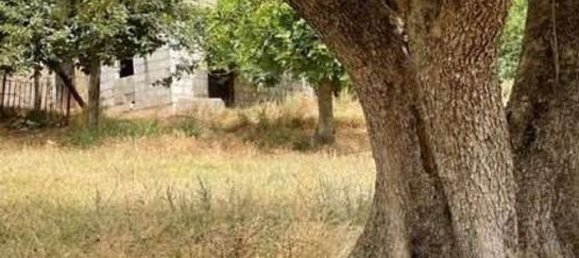 6 غرف نوم منزل في Pratella, Italy رقم 325655 10