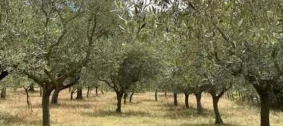 6 غرف نوم منزل في Pratella, Italy رقم 325655 13