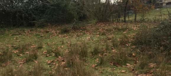 4 bedrooms House in Cantelaes, Portugal No. 42972 9