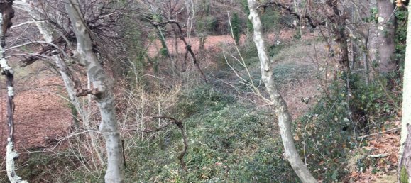 4 bedrooms House in Cantelaes, Portugal No. 42972 11