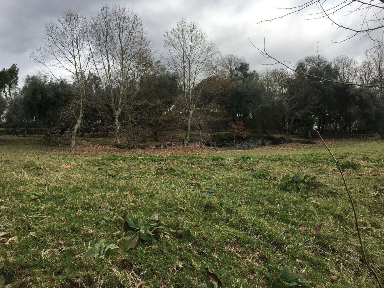 4 bedrooms House in Cantelaes, Portugal No. 42972