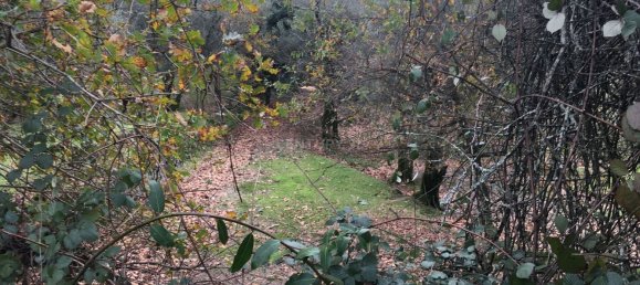 4 bedrooms House in Cantelaes, Portugal No. 42972 12