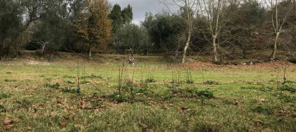 4 bedrooms House in Cantelaes, Portugal No. 42972 3