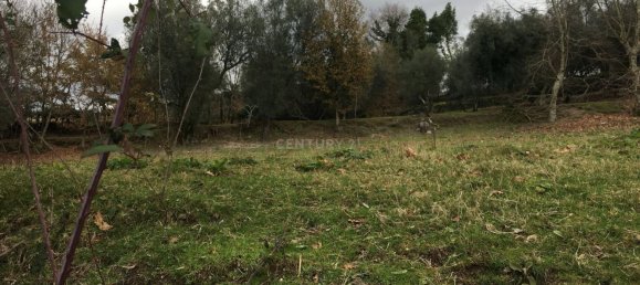 4 bedrooms House in Cantelaes, Portugal No. 42972 8