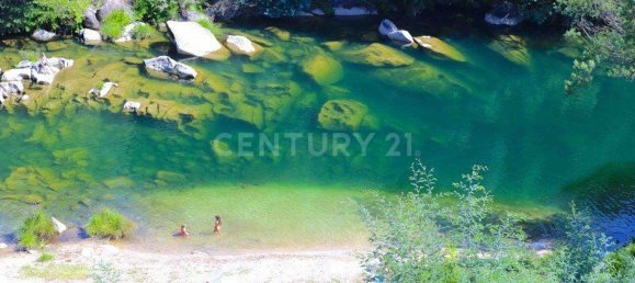 4 bedrooms House in Cantelaes, Portugal No. 42972 21