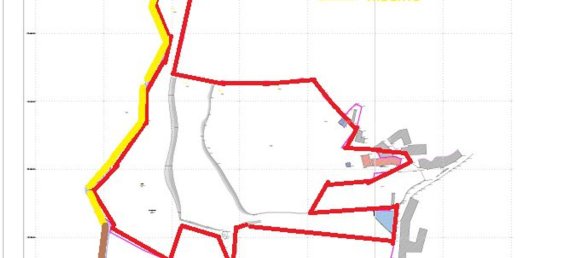 4 bedrooms House in Cantelaes, Portugal No. 42972 14