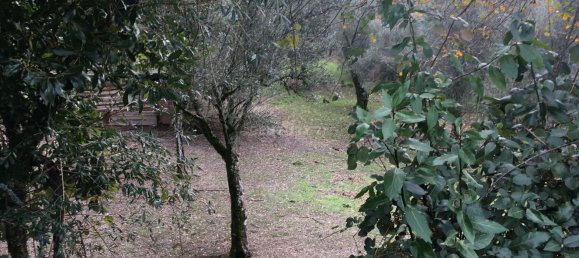 4 bedrooms House in Cantelaes, Portugal No. 42972 10