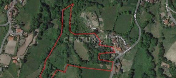 4 bedrooms House in Cantelaes, Portugal No. 42972 6