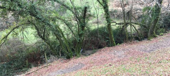 4 bedrooms House in Cantelaes, Portugal No. 42972 13