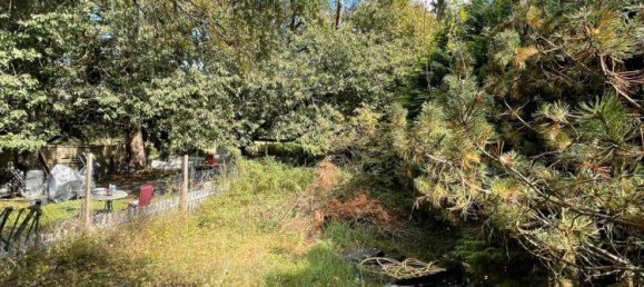 3 chambres Maison de ville à Merzig-Wadern, Germany No. 331276 5