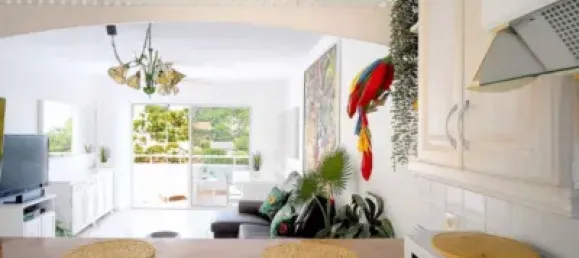 2 bedrooms Apartment in Adeje, Spain No. 169837 16