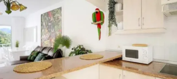 2 bedrooms Apartment in Adeje, Spain No. 169837 19