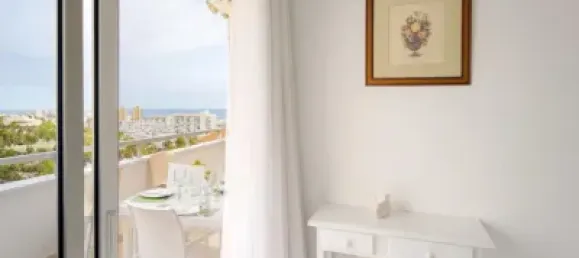 2 bedrooms Apartment in Adeje, Spain No. 169837 24