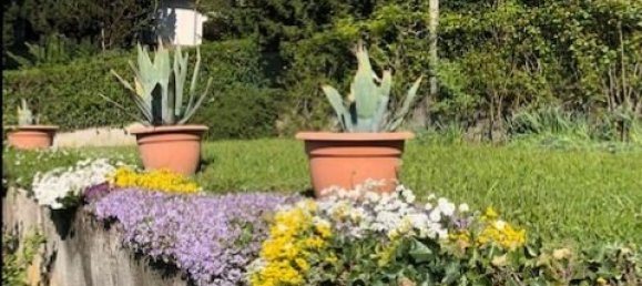 Casa de 7 habitaciónes en Muhlbach-sur-Munster, France No. 67062 15