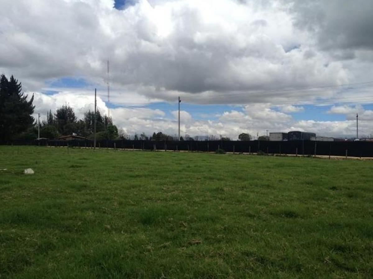 Studio in Cundinamarca, Colombia No. 8445