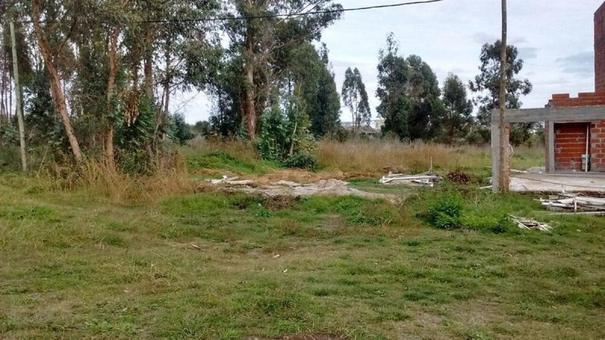 Grundstück in Buenos Aires, Argentina, Nr. 118463