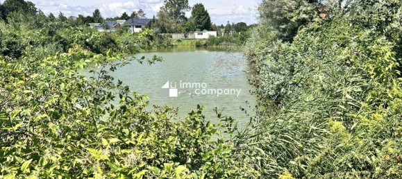 Grundstück in Prellenkirchen, Austria 18064m², Nr. 230958 3