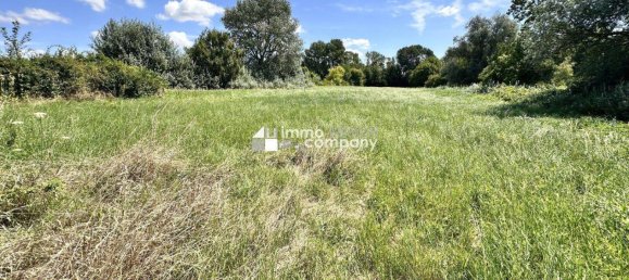 Grundstück in Prellenkirchen, Austria 18064m², Nr. 230958 5