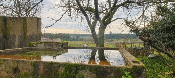 Casa de 2 dormitorios en Pinheiro de Azere, Portugal No. 166904 14