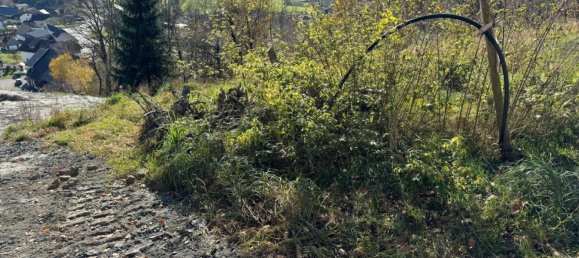  Land in Trieben, Austria No. 132247 6