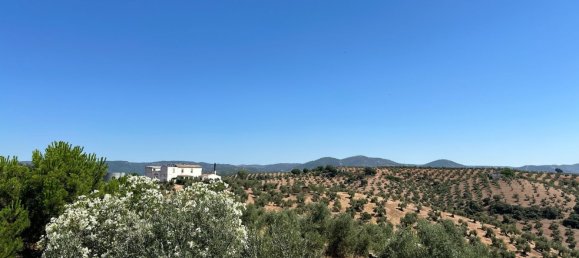  قطعة أرض في Montoro, Spain رقم 107108 3