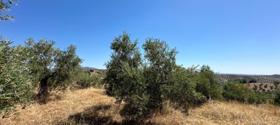  قطعة أرض في Montoro, Spain رقم 107108 6