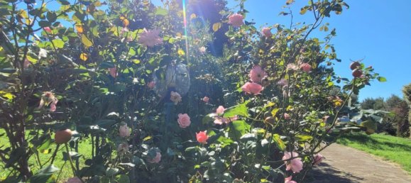 Villa de 6 habitaciónes en Catanzaro, Italy No. 76210 20