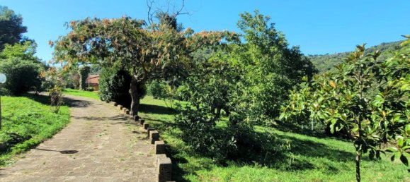 Villa de 6 habitaciónes en Catanzaro, Italy No. 76210 5