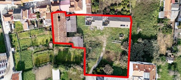 4800m² Land in Tavarede, Portugal No. 88580 7