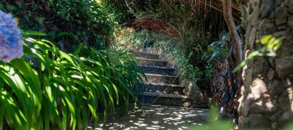 8 bedrooms House in Figueira da Foz, Portugal No. 162447 35