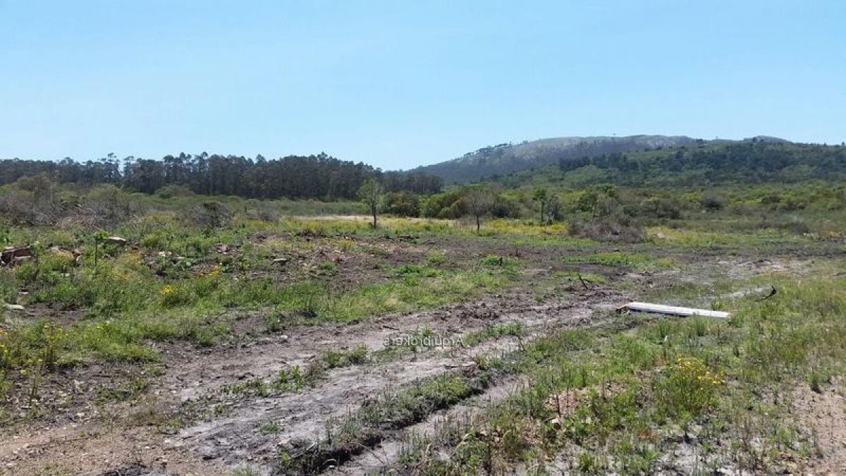 Land in Maldonado, Uruguay No. 14529