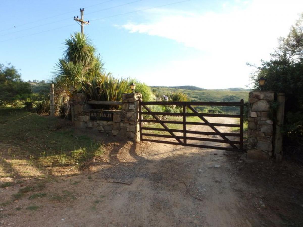 Bauernhof in Maldonado, Uruguay, Nr. 14046