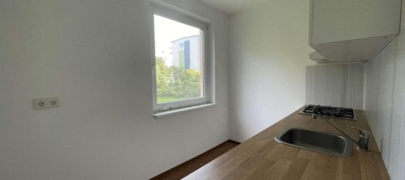 Apartamento T1 em Baumschulenweg, Germany N.º 294371 11