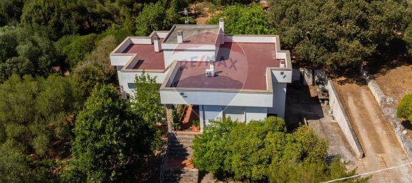 11 bedrooms Villa in Sassari, Italy No. 312428 4